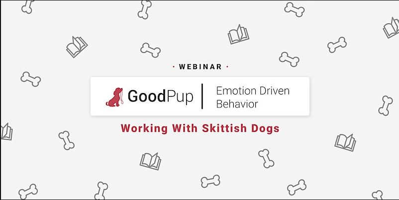 good pup emotion driven webinar 1