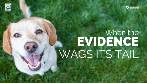 Webinar - When the Evidence Wags Its Tail
